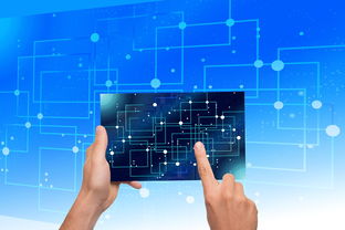 爱游戏官网app-中国篮球青训体系教练员能力评估与发展规划，篮球教练员素养