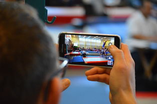 爱游戏体育app-中国篮球联赛市场细分与营销研究，篮球联赛介绍